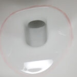 화장실 분홍빛 곰팡이 제거 방법