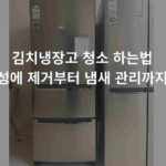 김치냉장고 청소 하는법 실제 적용 전 딤채 서랍식 냉장고 모습, 성에 제거와 냄새 관리 노하우 공개