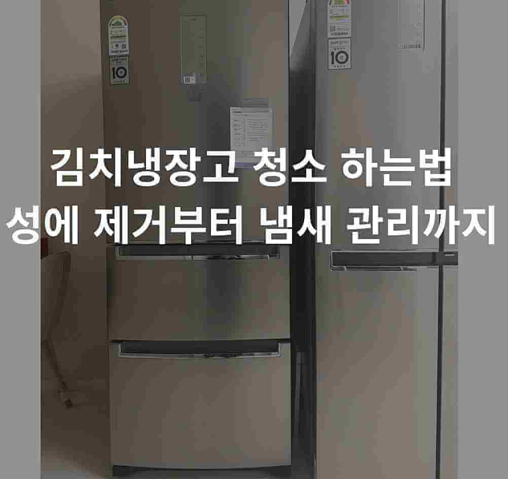 김치냉장고 청소 하는법 실제 적용 전 딤채 서랍식 냉장고 모습, 성에 제거와 냄새 관리 노하우 공개