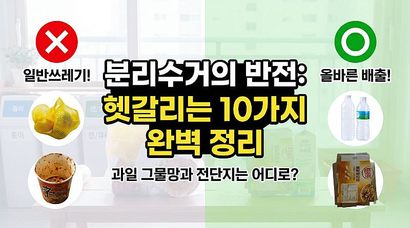 분리수거인 줄 알았던 일반쓰레기 10가지 총정리 (과일 그물망과 전단지는 어디로?)
