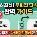우회전 단속 기준 총정리 (전방 적색신호 보행자 초록불 일시정지 방법과 과태료)