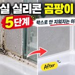 화장실 실리콘 곰팡이 제거 5단계, 락스로 안 지워지는 이유까지