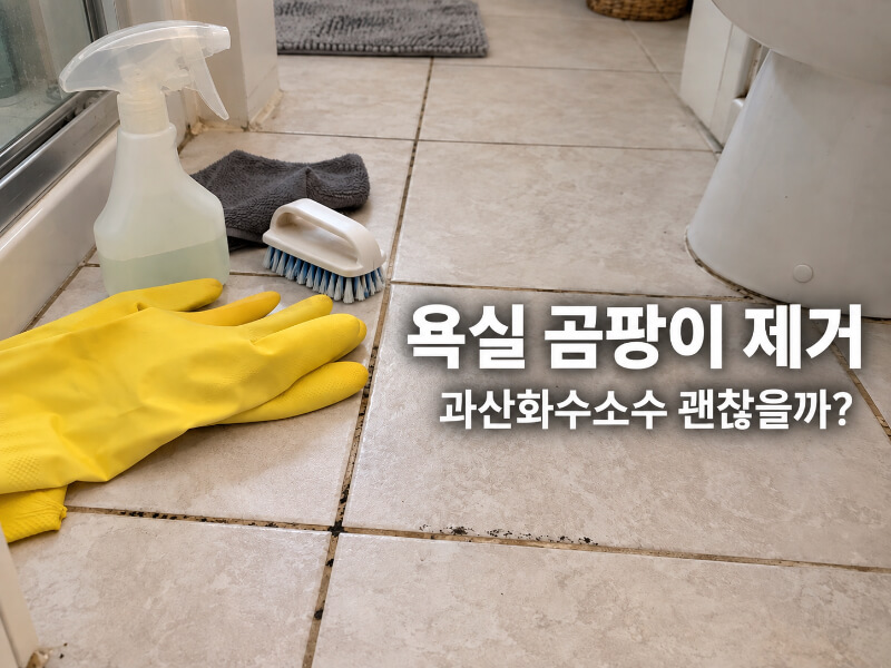 락스 없이 욕실 줄눈 곰팡이 제거? 과산화수소수는 어디까지 효과 있을까