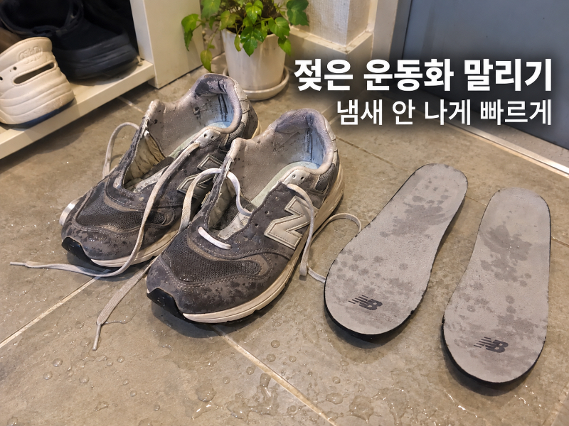 젖은 운동화 말리기, 냄새 안 나게 빨리 말리는 방법